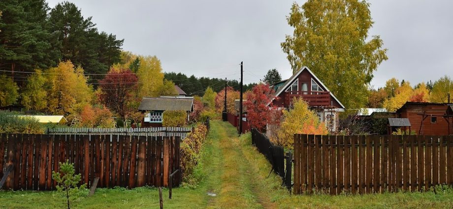a fenced in yard with a house and trees in the background